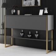 Modern Dressoir Antraciet Luxe 120x80x30 - Gouden Frame