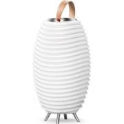 Lamp Kooduu Synergy 65-S - Bluetooth Speaker - LED Lamp - Wijnkoeler