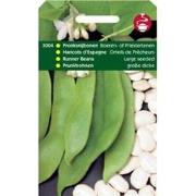 5 stuks - Pronksnijbonen Grootz.(Boerentenen)