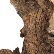 Mopani wood 20kg x-large Aquadistri