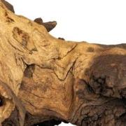 Mopani wood 20kg medium Aquadistri