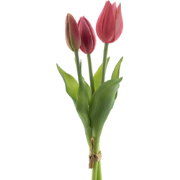 PSO Holland Tulip bundle Sally x3 beauty 25 cm kunstbloem