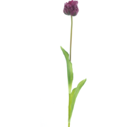 PSO Tulip spray Paris Sally purple 79 cm kunstbloem
