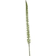 Donkey tail spray green 86 cm Emerald