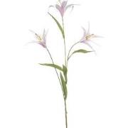 Lily wild spray x3 lt pink 100 cm Emerald