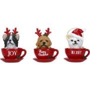 Ornaments dog in cup 3 ass poly