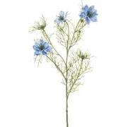 Nigella spray blue 68 cm Emerald