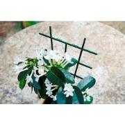 Kamerplantenrekjes 37x23cm set a 2 stuks