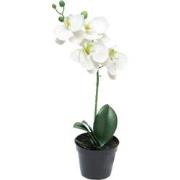 RT Phalaenopsis Bora x1 in pot 35 cm white kunstbloemen