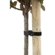 Klittenboomband met gesp 40x2,5cm set a 2 stuks