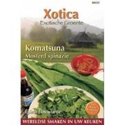 3 stuks - Xotica komatsuna