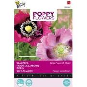 3 stuks - Poppies of the world papaver slaapbol