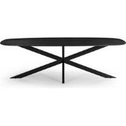 Eettafel Deens Ovaal - Zwart - Mangohout - 240 cm - Tafel Jordan