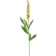 Kunst Veronica spray peach - 76 cm