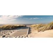 Tuinposter houten pad in duin 110x45 sterren