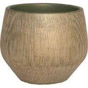 HS Potterie Hamar Groen Goud - cm