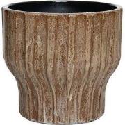 HS Potterie Vigo Bruin - cm