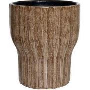 HS Potterie Vigo Bruin - cm