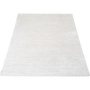 Vloerkleed Nina 1601 - 240 x 340 cm