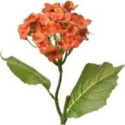 Clayre & Eef Kunstbloem 37 cm Oranje Kunststof