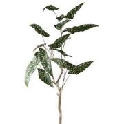PTMD Kunstplant Begonia - 70x60x94 cm - Polyester - Groen