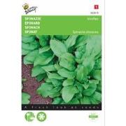 2 stuks - Spinazie Winterreuzen 15 Gram