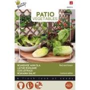 Patio Veggies, Romeinse Mini-sla (gemengd)