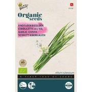 Organic Bieslook Knoflook (BIO)