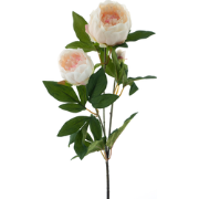 (Best) Paeony spray Chiba lt pink 65 cm kunstbloem
