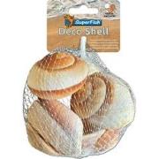 Deco schelp slak bruin-wit 170 gram Superfish