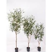 Olijfboom 180 cm kunstplant Oosterik Home