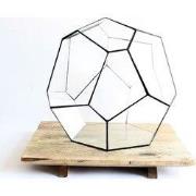 URBANJNGL - Geometrisch Terrarium - Cosmo - Vivarium - ? 31 x 29 x 29 ...