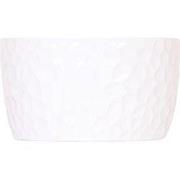 Kolibri Home | Honey dish wit - Keramieken planten schaal met honing p...