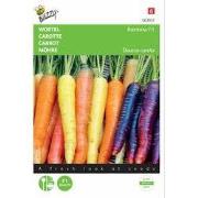 3 stuks - Wortel Rainbow F1