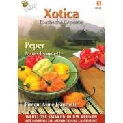 3 stuks - Xotica peper madame jeannette