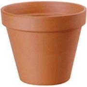 Pot terracotta d11.5h10 cm