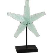 J-Line - Zeester Op Voet Gerecycleerd Glas Transparent Large - 30x11x3...