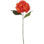 J-Line - Hortensia Sproeier Kunststof Rood - 74x18x13cm