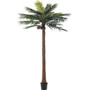 J-Line - Palmboom 4kokosn In Pot Plastiek Groen - 190x190x350cm