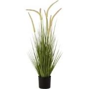 J-Line - Grassen+staarten In Pot Plastiek Groen Small - 25x25x90cm