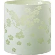 J-Line - Windlicht Bloemen Glas Groen Extra Large - 24x24x24cm