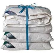 Ten Cate 60% Eendendonzen 4 seizoenen dekbed 200x200 + 2 eendenveren h...