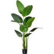 Kopu® Kunstplant Strelitzia Nicolai 160 cm Paradijsvogelplant 10 blad