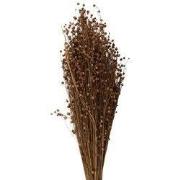 Clayre & Eef Droogbloemen  60 cm Beige Droogbloemen Droogboeket