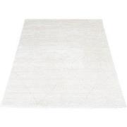 Vloerkleed Nica 1606 - 160 x 230 cm