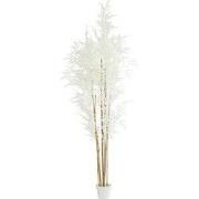 Light & Living - Pot BAMBOO - 70x60x180cm - Bruin