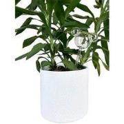 Plant Reservoir Mickey ears glass