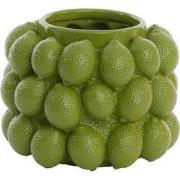 Vaas Lemon - Olijfgroen - Ø17.5cm