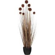 Mica Decorations Kunstplant Pom pon grass - 20x20x90 cm - PVC - Bruin