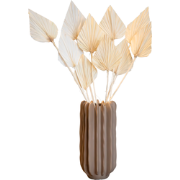 Droogbloemen - Set van 10 - Boeket 'Palmspear Bleached White' - Droogb...